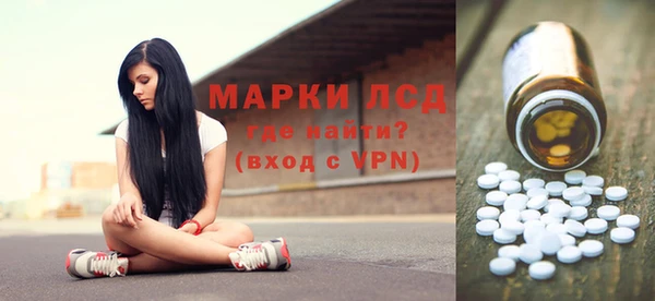индика Алексин