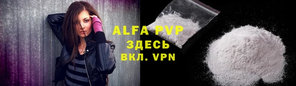 индика Алексин
