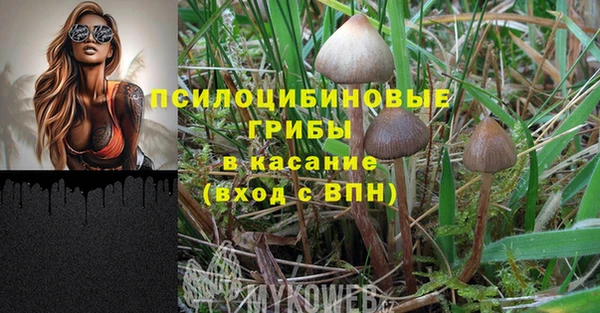 метамфетамин Алексеевка