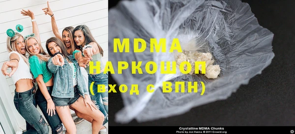 индика Алексин