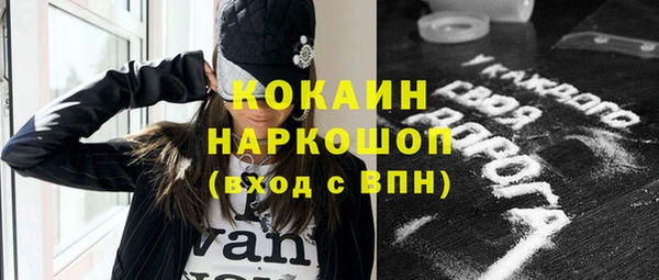 индика Алексин