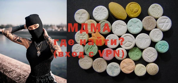 индика Алексин