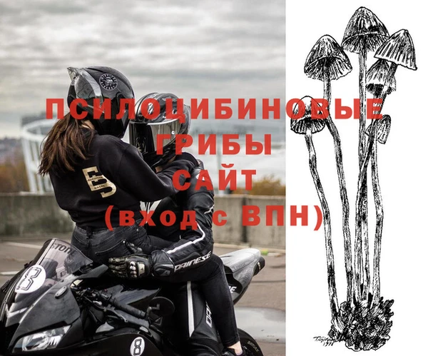 героин Абаза