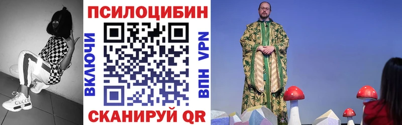 Галлюциногенные грибы Magic Shrooms  магазин продажи   Чишмы 